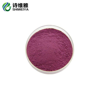 Natural Fruit Frozen Dried for Weight Loss Bilberry Extract Powder