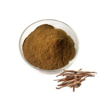 High quality natural salvia extract powder